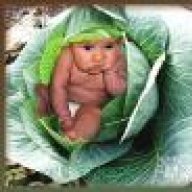 Rustam