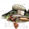 Hamad